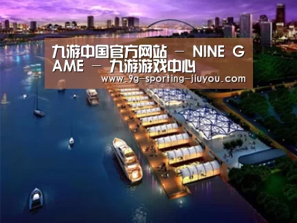 案例展示八