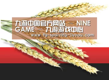 九游中国官方网站 - NINE GAME - 九游游戏中心