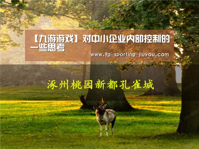 【九游游戏】对中小企业内部控制的一些思考(图1) 九游游戏中心