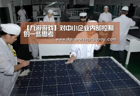 【九游游戏】对中小企业内部控制的一些思考(图3) 九游游戏中心