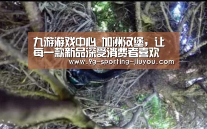 九游游戏中心_加洲汉堡,让每一款新品深受消费者喜欢(图1) 九游APP下载